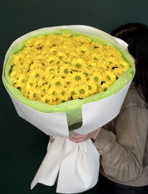 Букет из 25 желтых кустовых хризантем